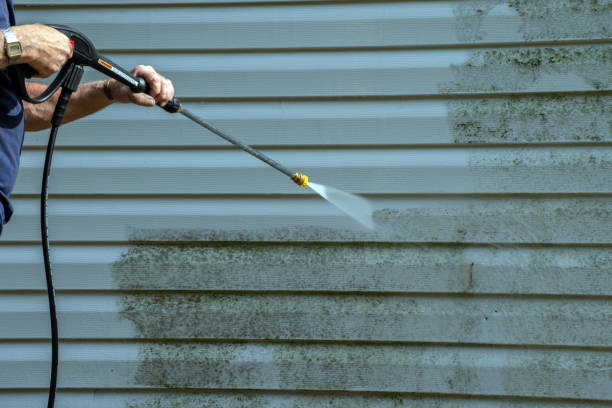 Best Patio and Deck Pressure Washing  in Deerfield, MI